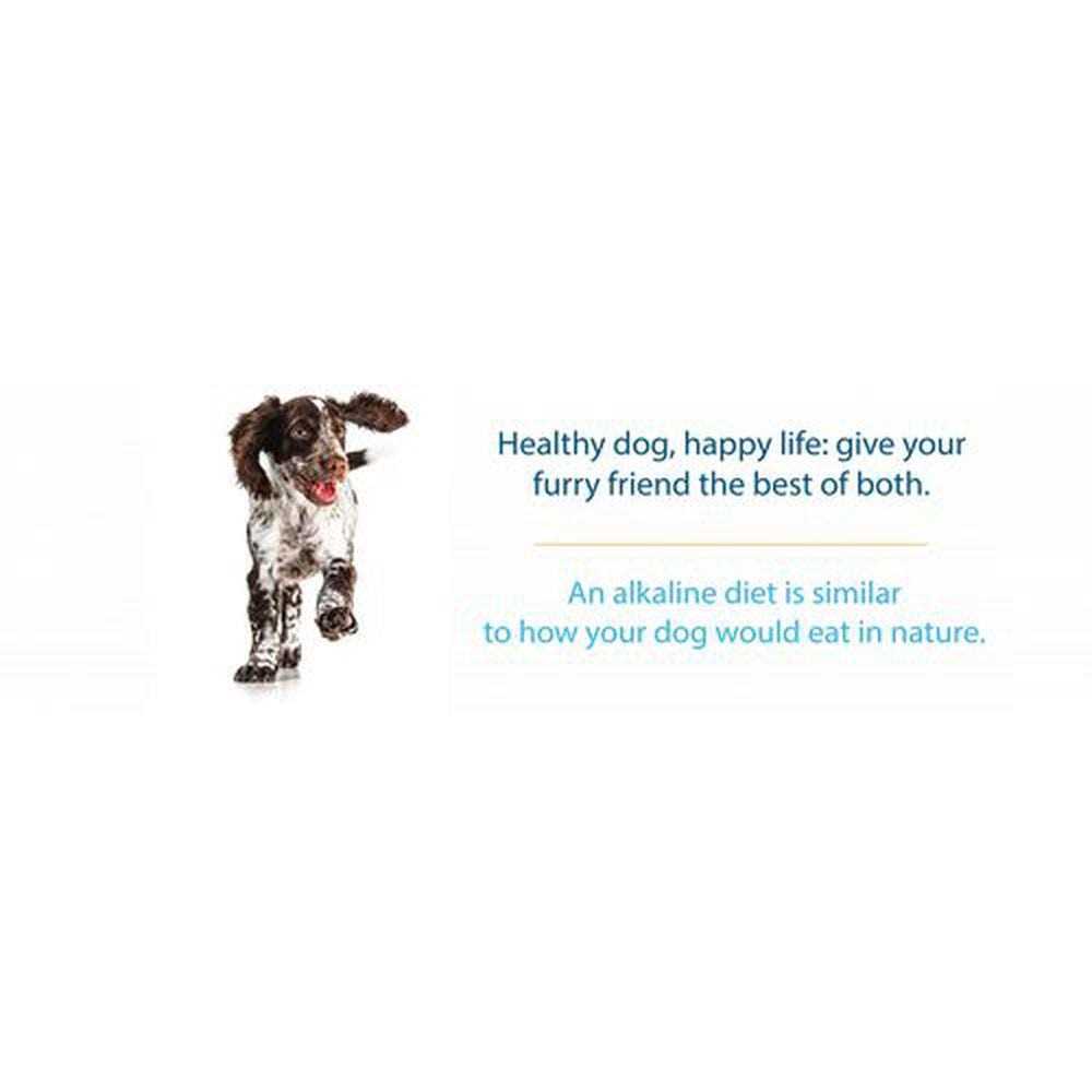 Limited Ingredient Dry Dog Food E3543