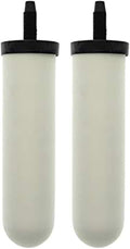 Ceramic Candle Filter (2 PACK) X2777