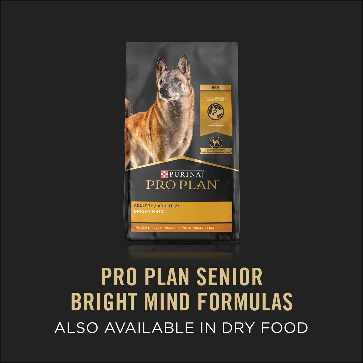 Brown Rice Entree Wet Dog Food V5910