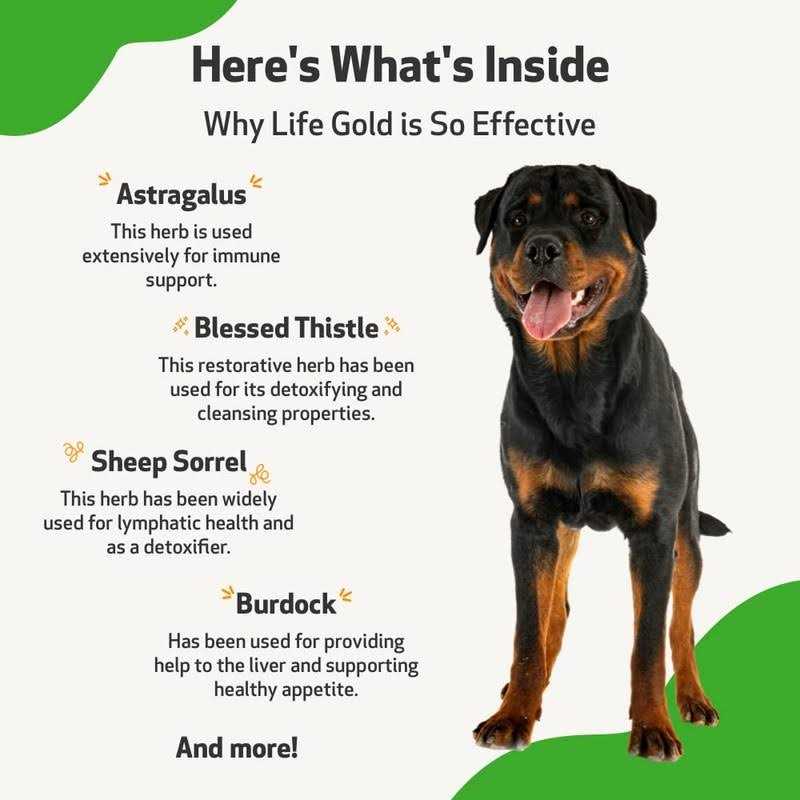 Life Gold for Dogs U113958