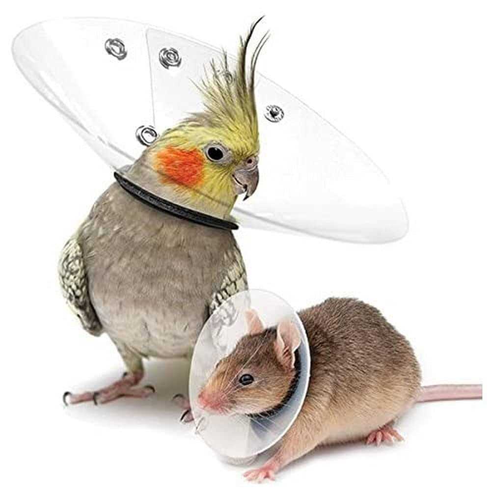Collar Rodents Pet Supplies N769