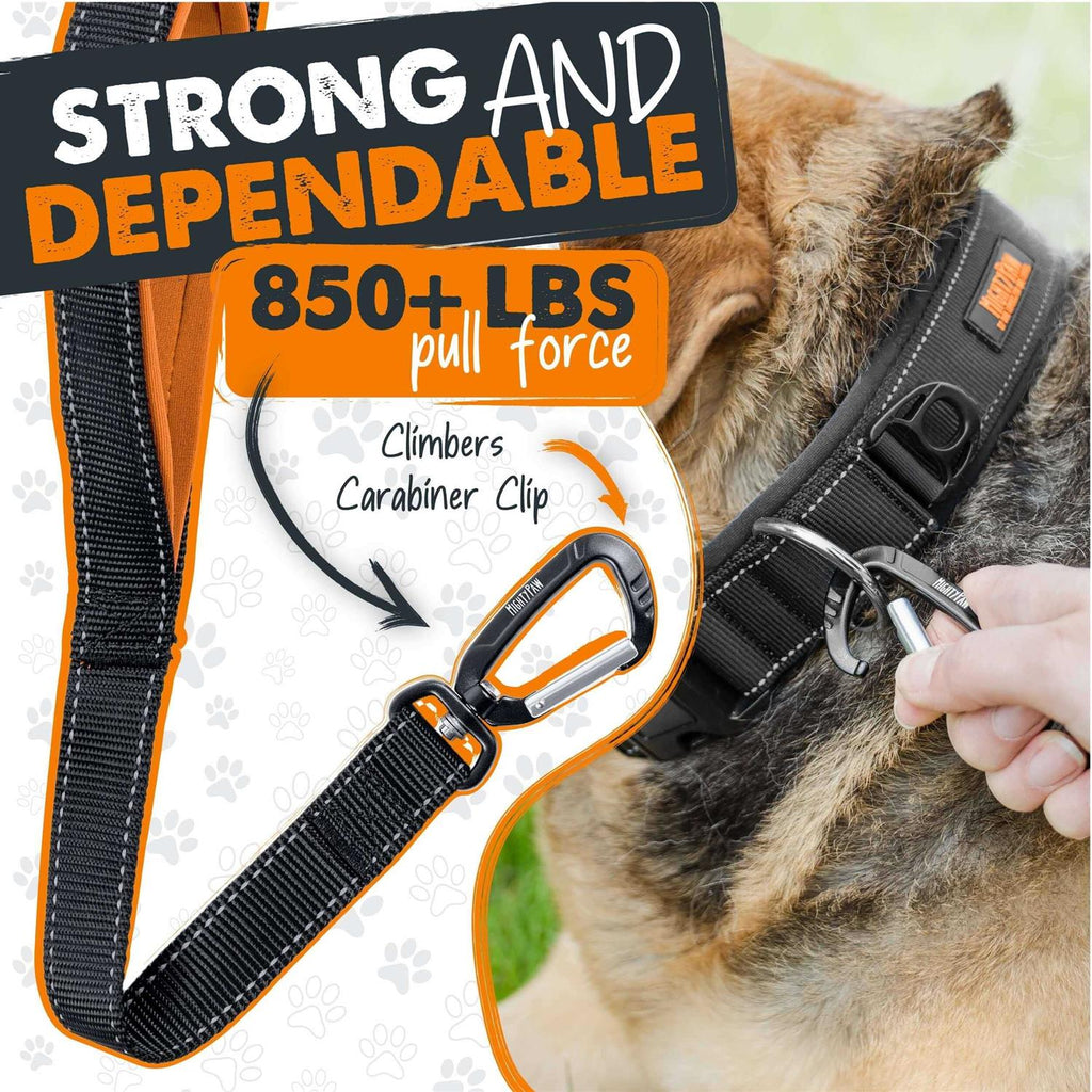 Dual Handle Dog Leash Q78727