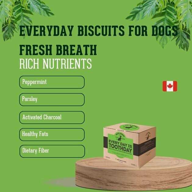 Large Crunchy Dog Treats A808311