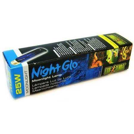 Night Heat Lamp G62438