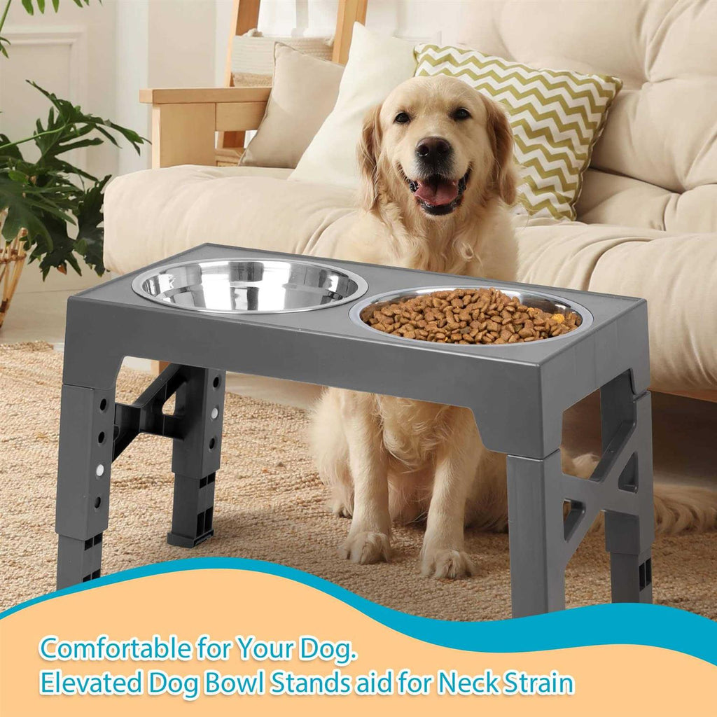 Elevated Dog Bowls with 2 Stainless Steel Bowls E6406