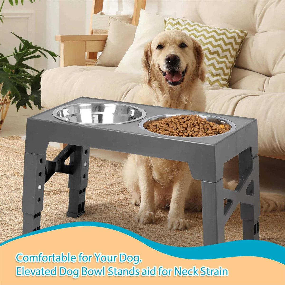 Elevated Dog Bowls with 2 Stainless Steel Bowls E6406