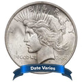 Peace Silver Dollar Extra Fine XF G171