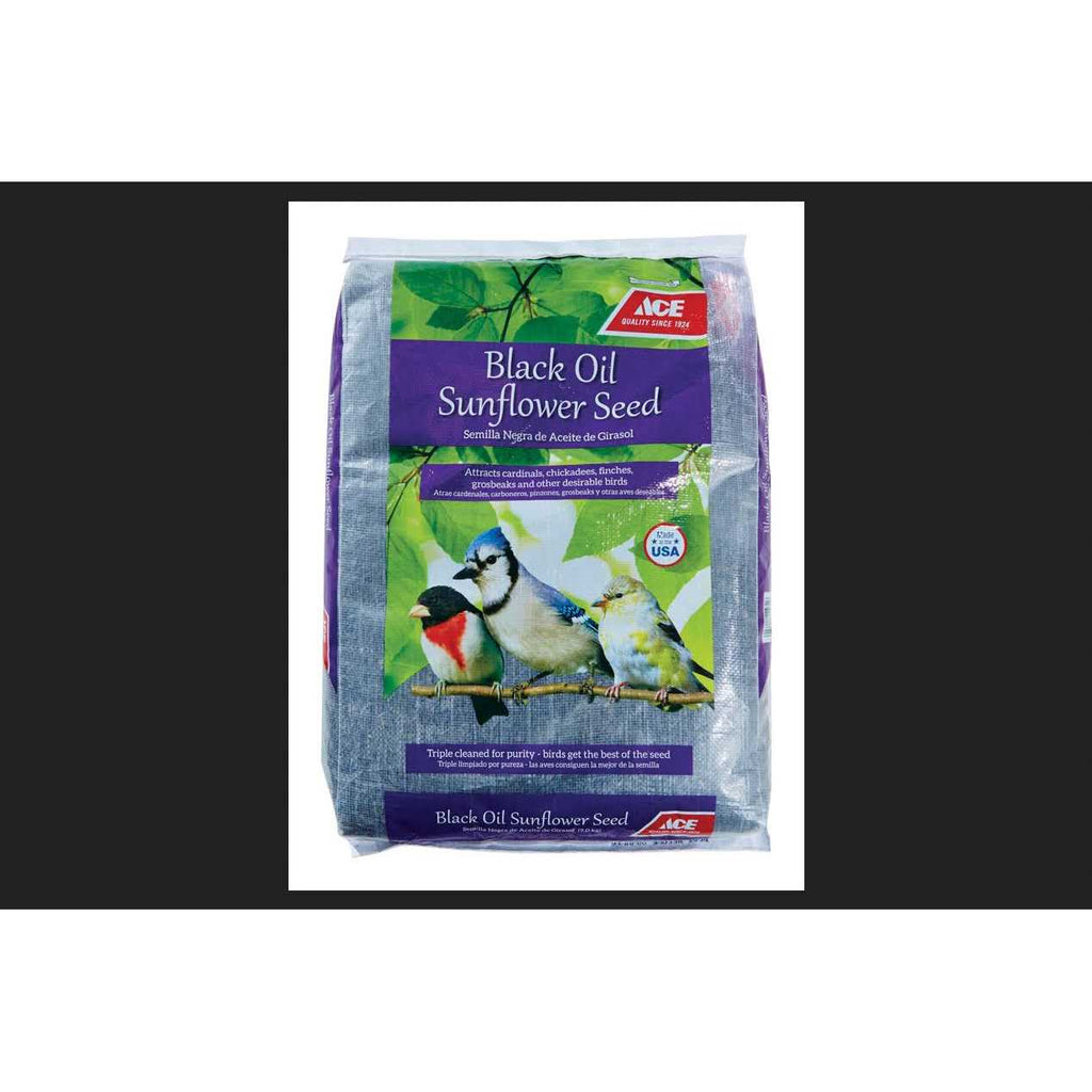 Black Oil Sunflower Seed Wild Bird Food Q88989