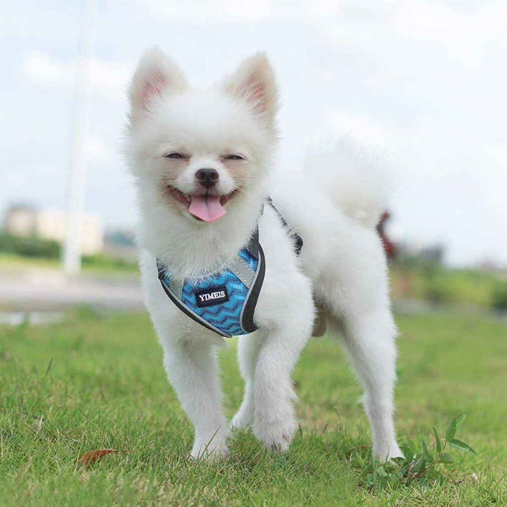 Dog Harness and Leash Set No Pull Soft Mesh U1275