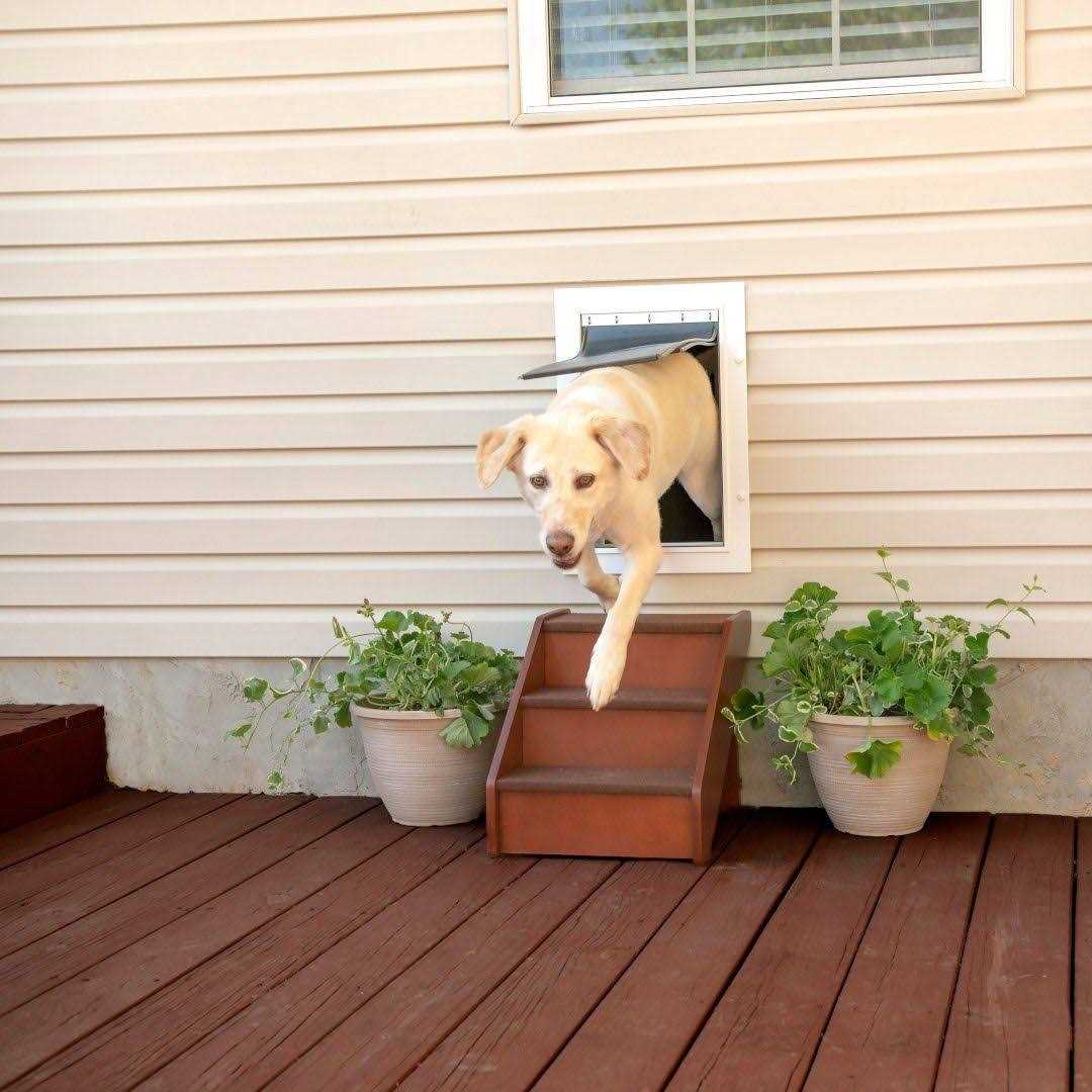 Wall Entry Pet Door K2596