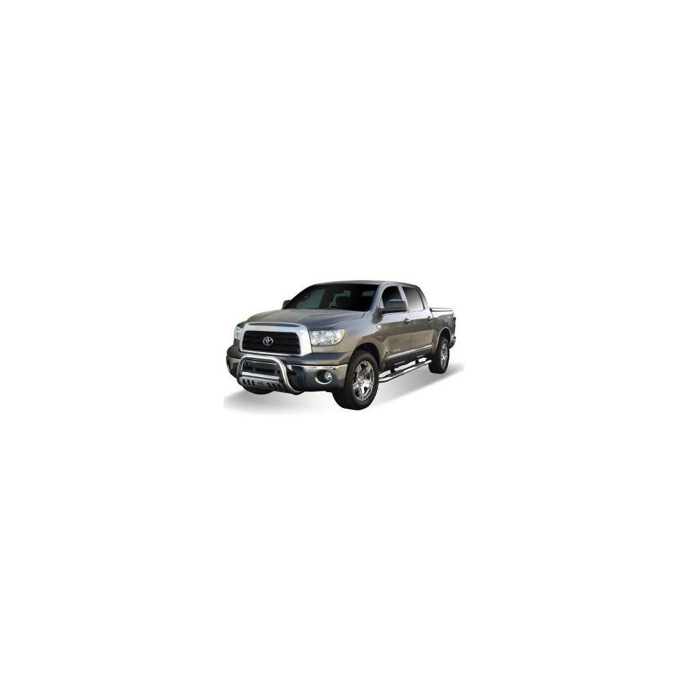 4 in. Oval Step Bar Cab Length R3280