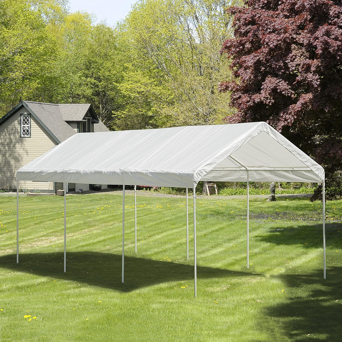 10' x 20' Steel Carport Canopy with Enclosure Kit P31524