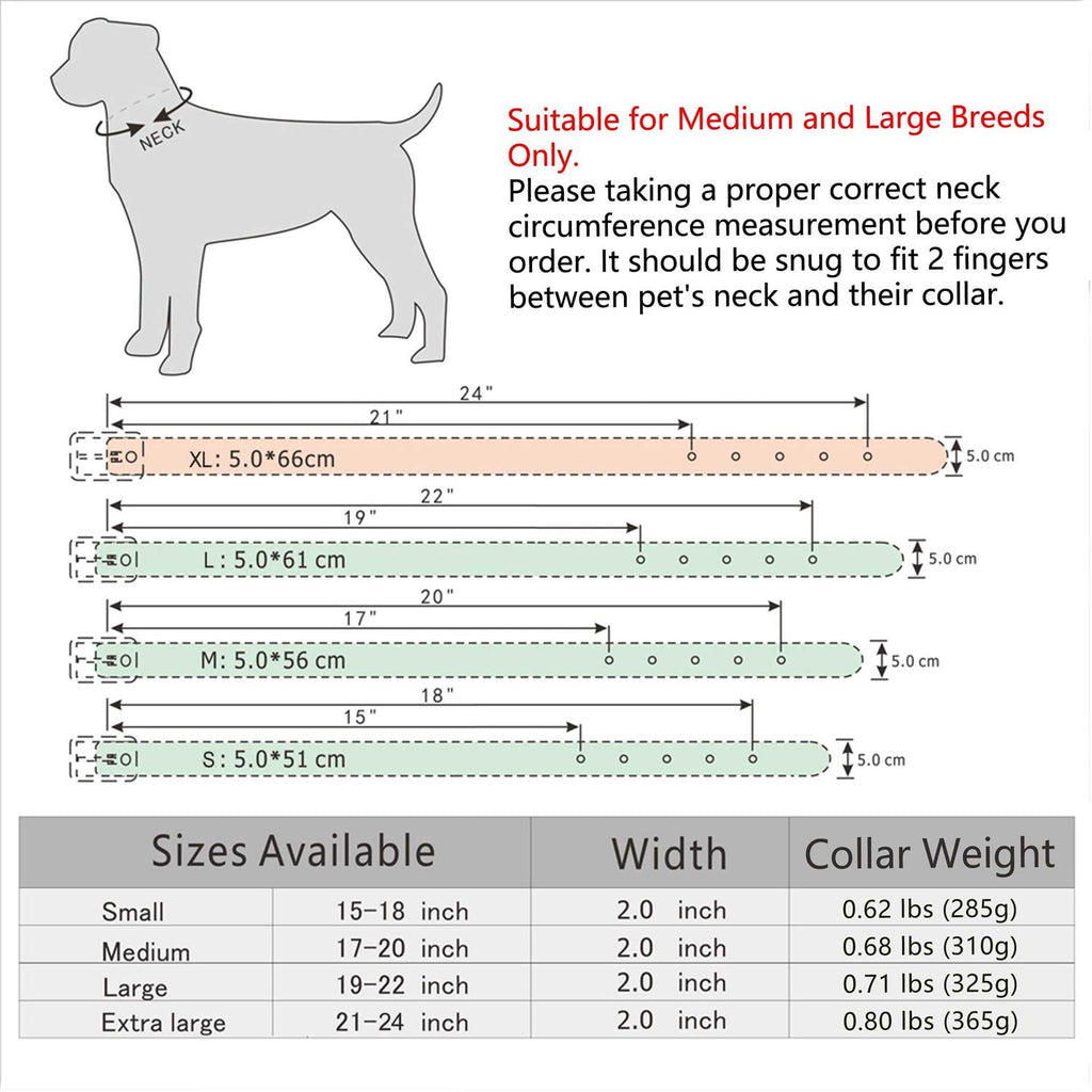 Leather Dog Collar 2 Inch P111721