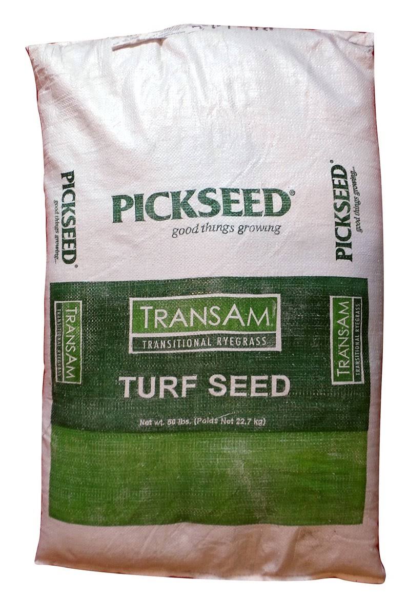 Intermediate Ryegrass Seed 50 lbs Q370170