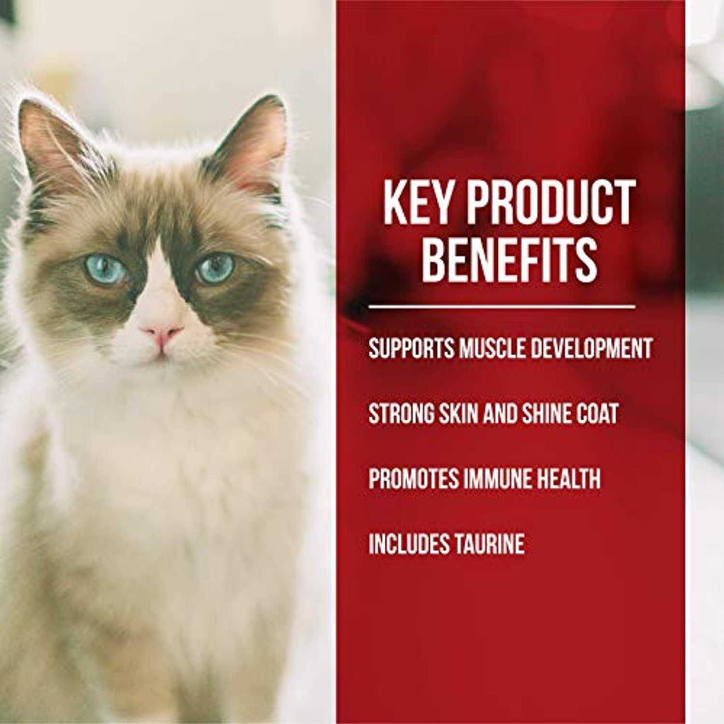 Dry Cat Food Chicken Turkey Y868