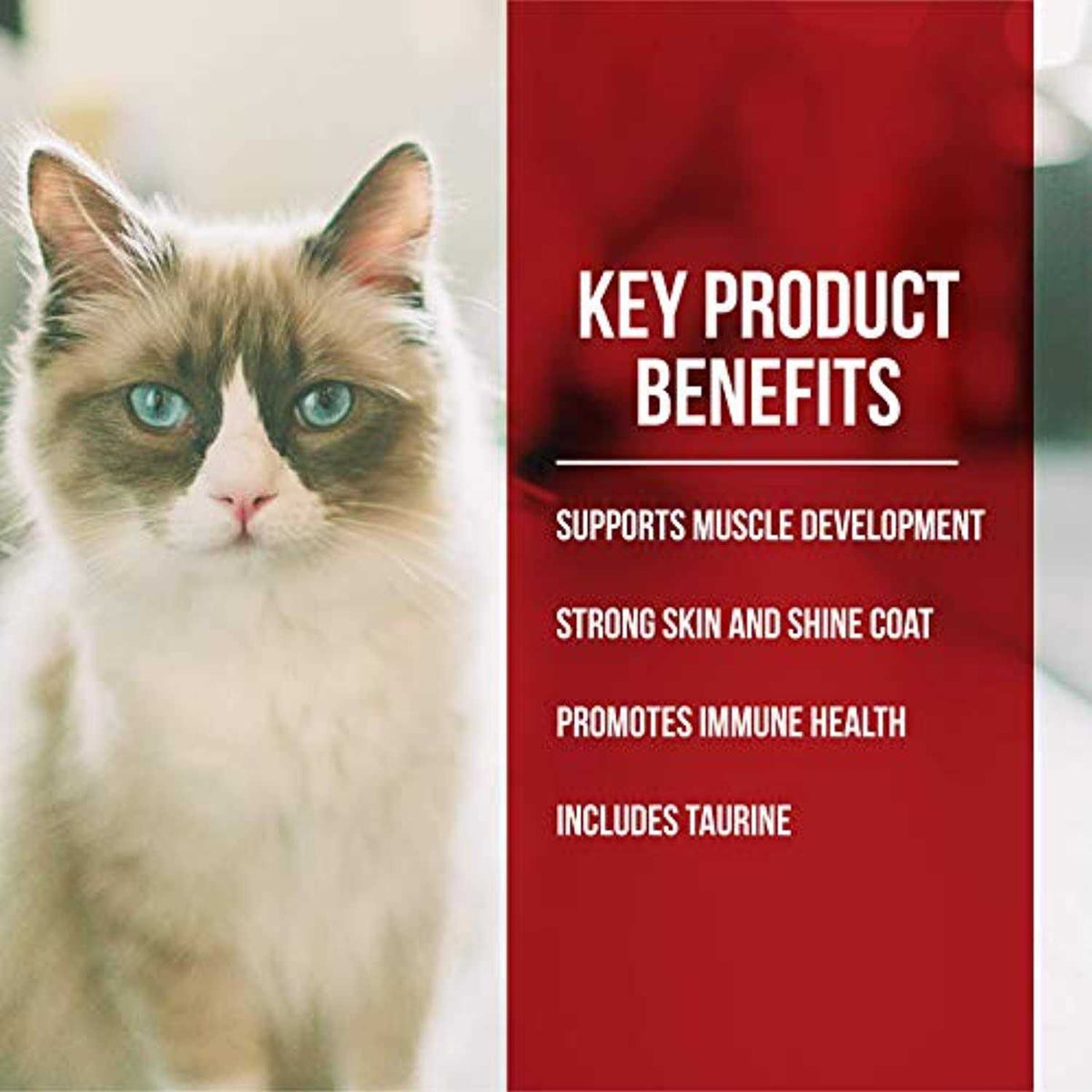 Dry Cat Food Chicken Turkey Y868