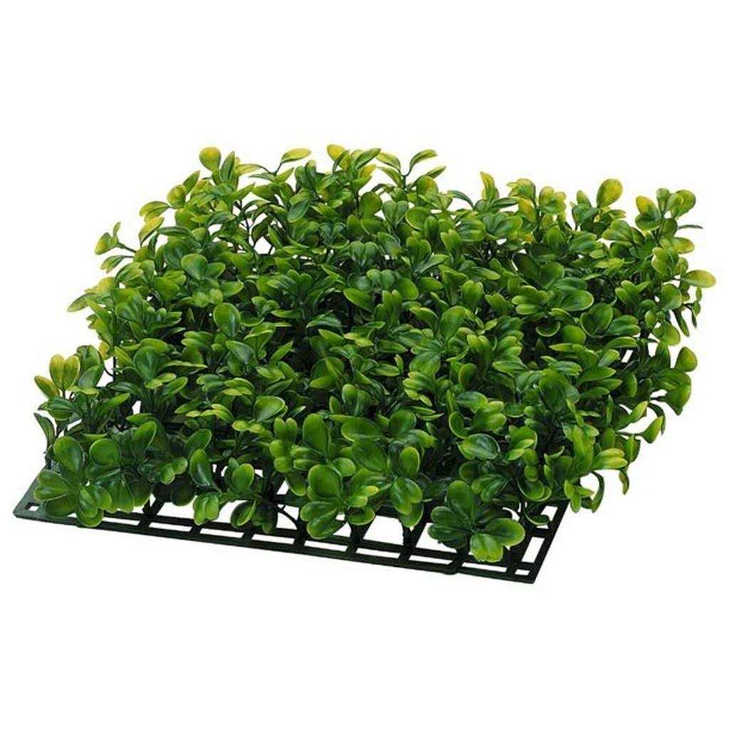 20 Gallon Aquarium With Filter And Heating Lamps U181