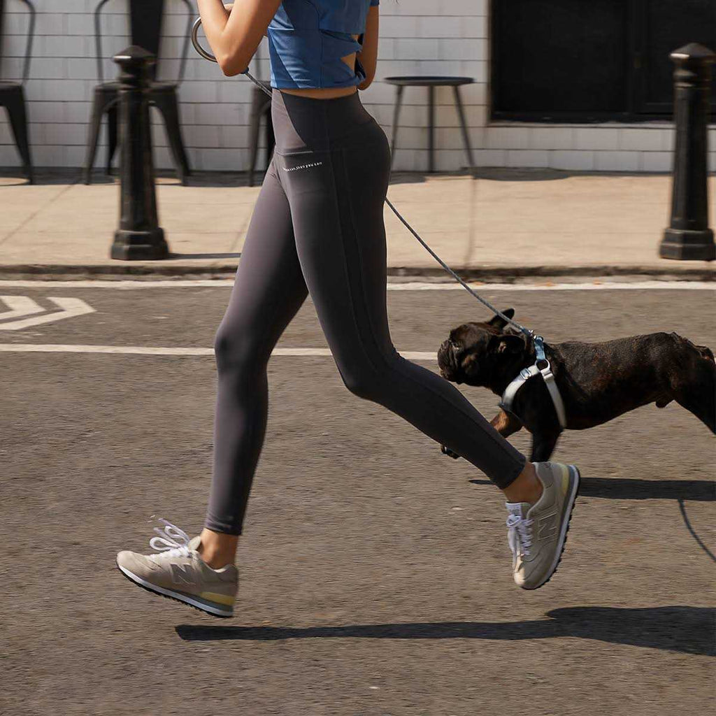 Pet Harness and Leash Set K14256
