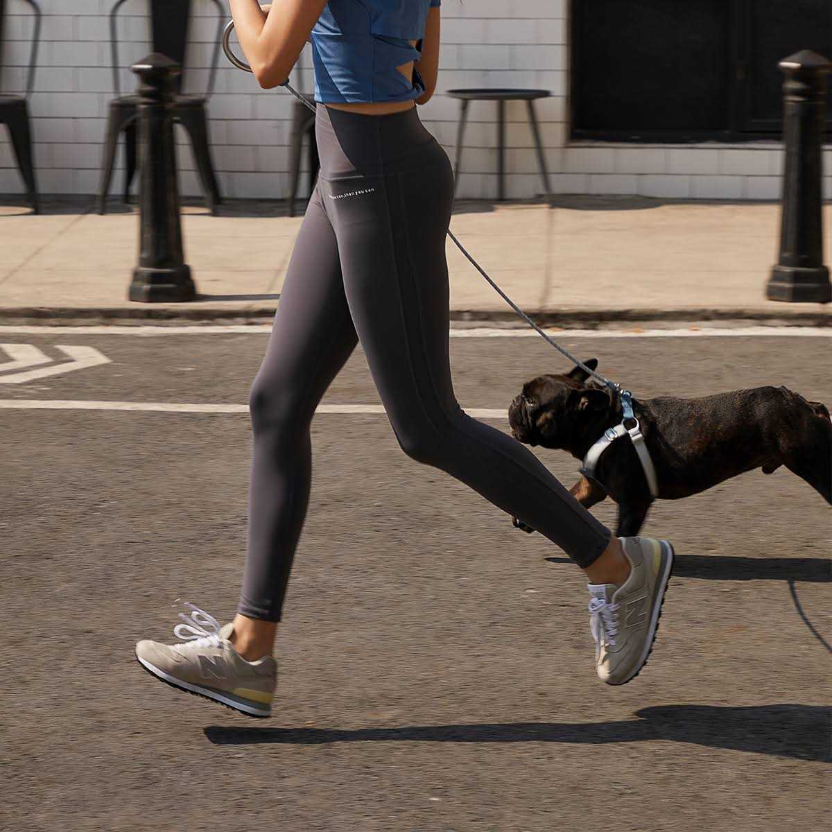 Pet Harness and Leash Set K14256