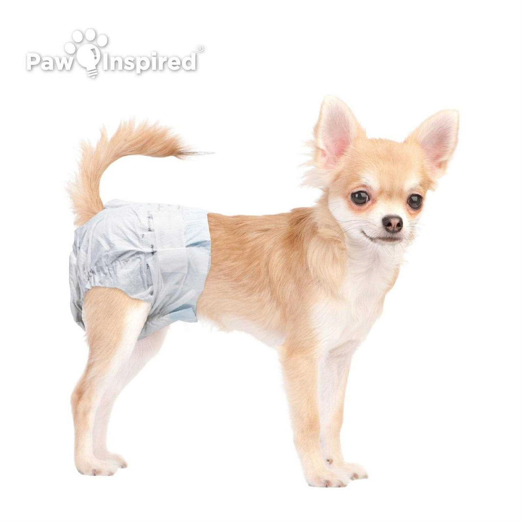 Disposable Female Dog Diapers R6490