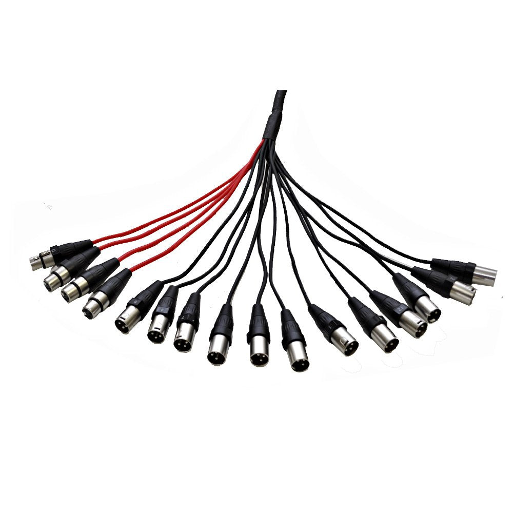 12 Channel XLR Snake Cable 100 Feet O655