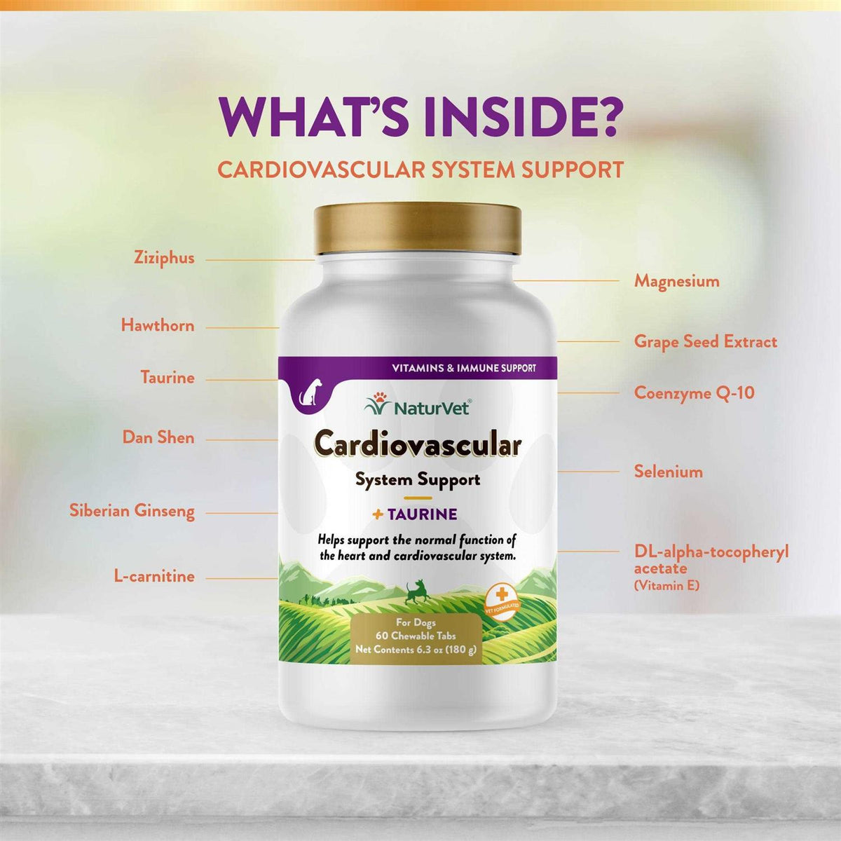 Cardiovascular Support for Dogs B350947
