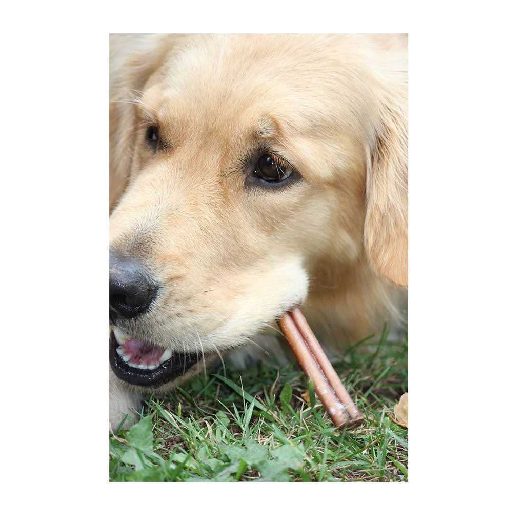 Bully Sticks For Medium Dogs E489675