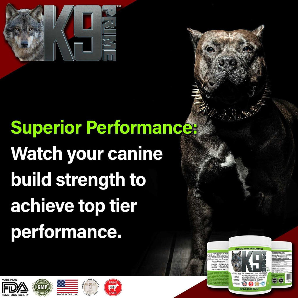 Dog Performance Pet Supplies V17441