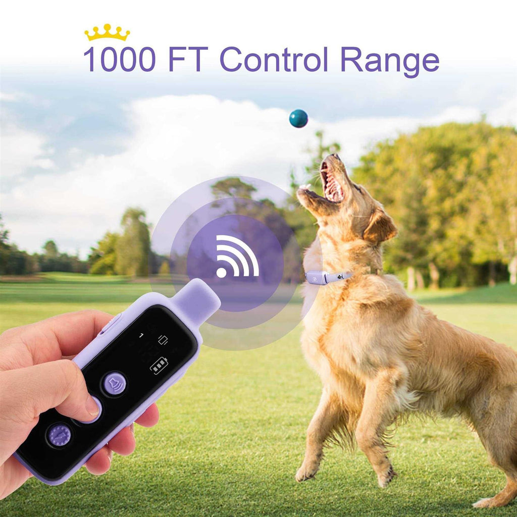 Waterproof Rechargeable Electric Dog Training Collar with Remote Z57207