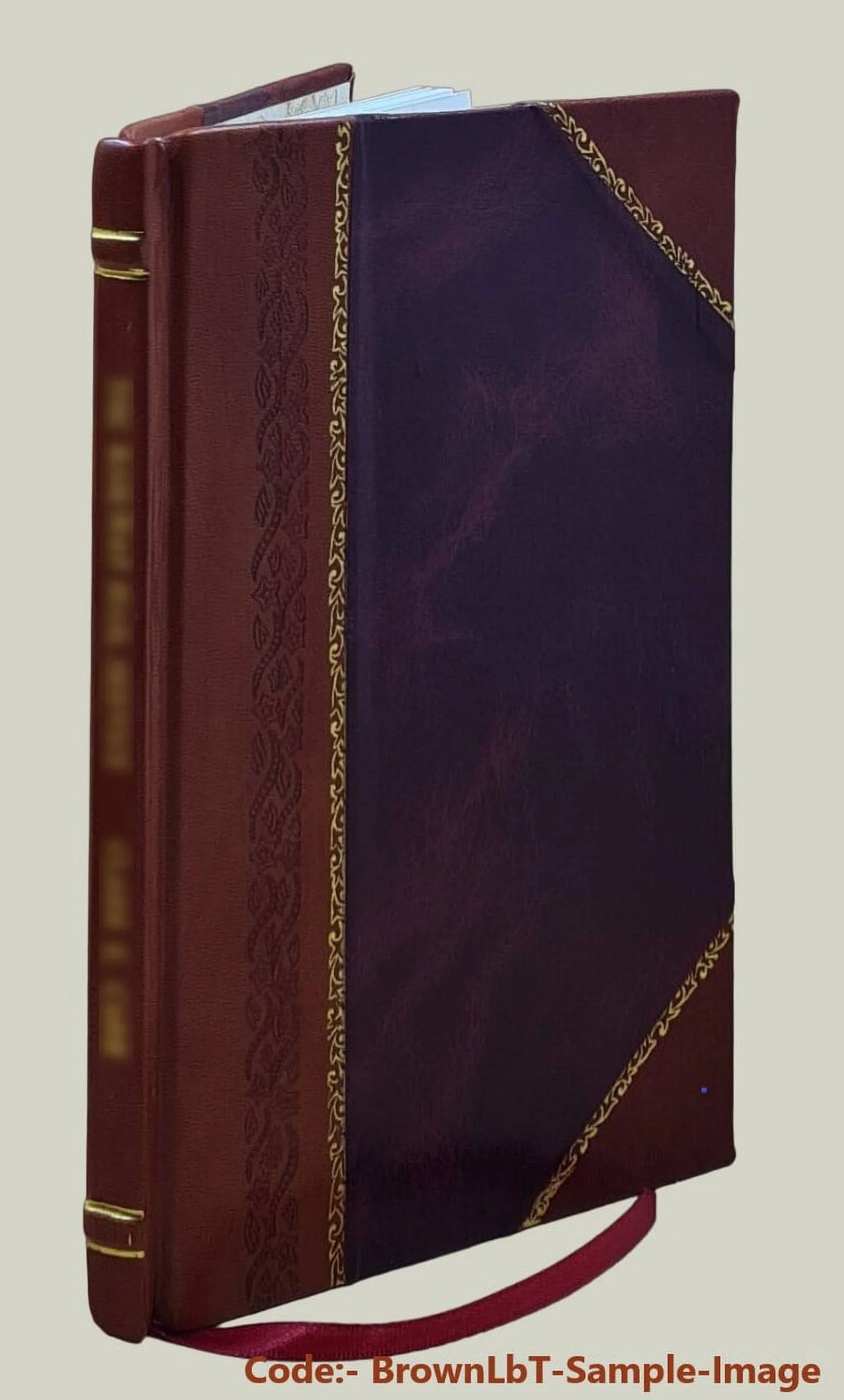 1922 Seed Catalogue Leather Bound T7919