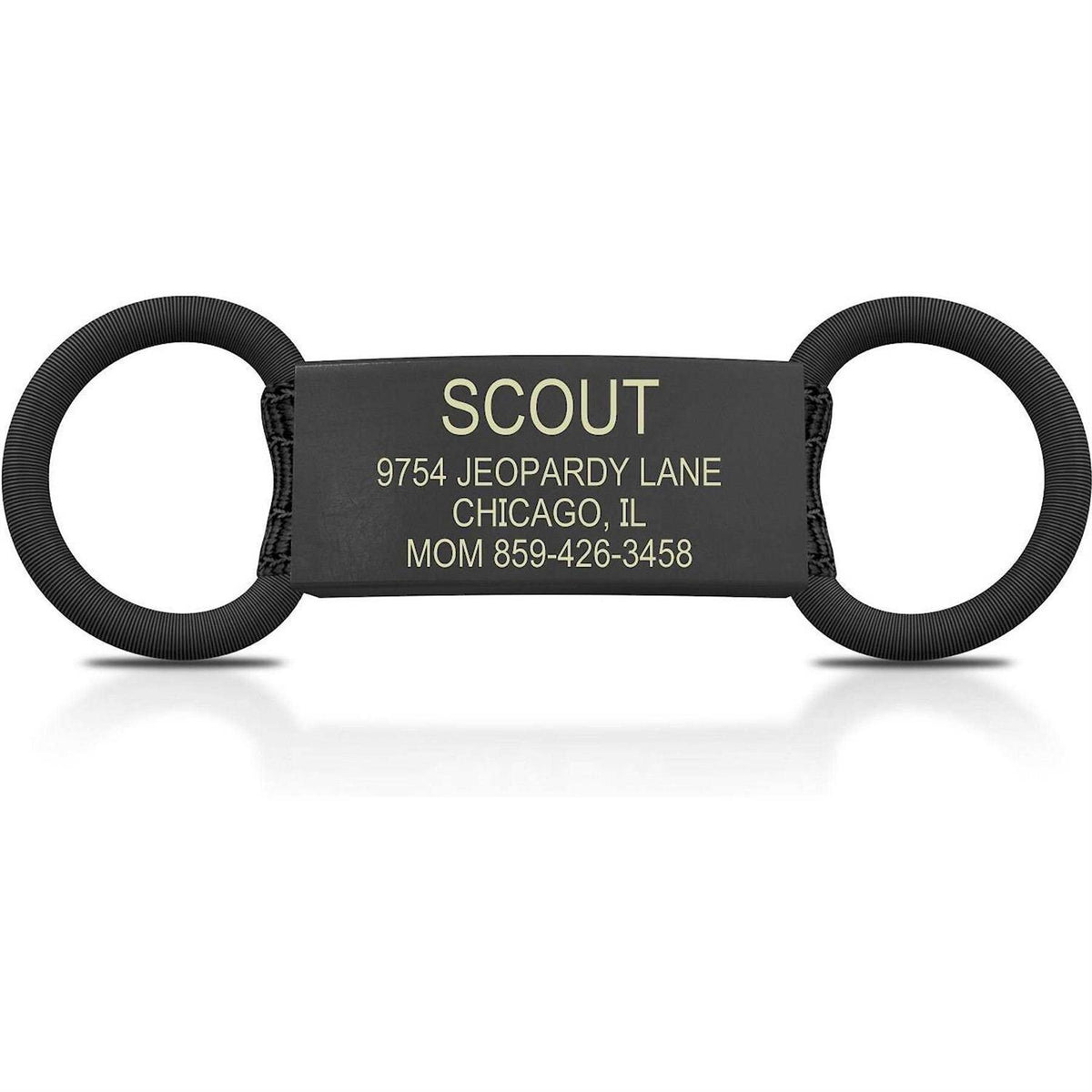 Personalized Cat iD Tag V653818