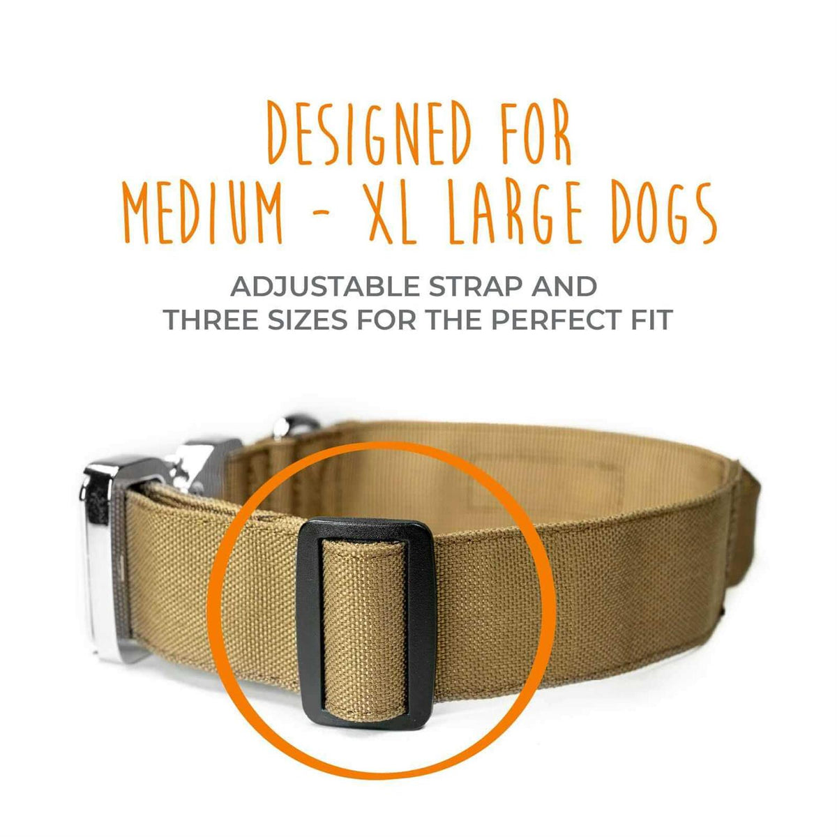 Heavy Duty Dog Collar with Metal Buckle T869