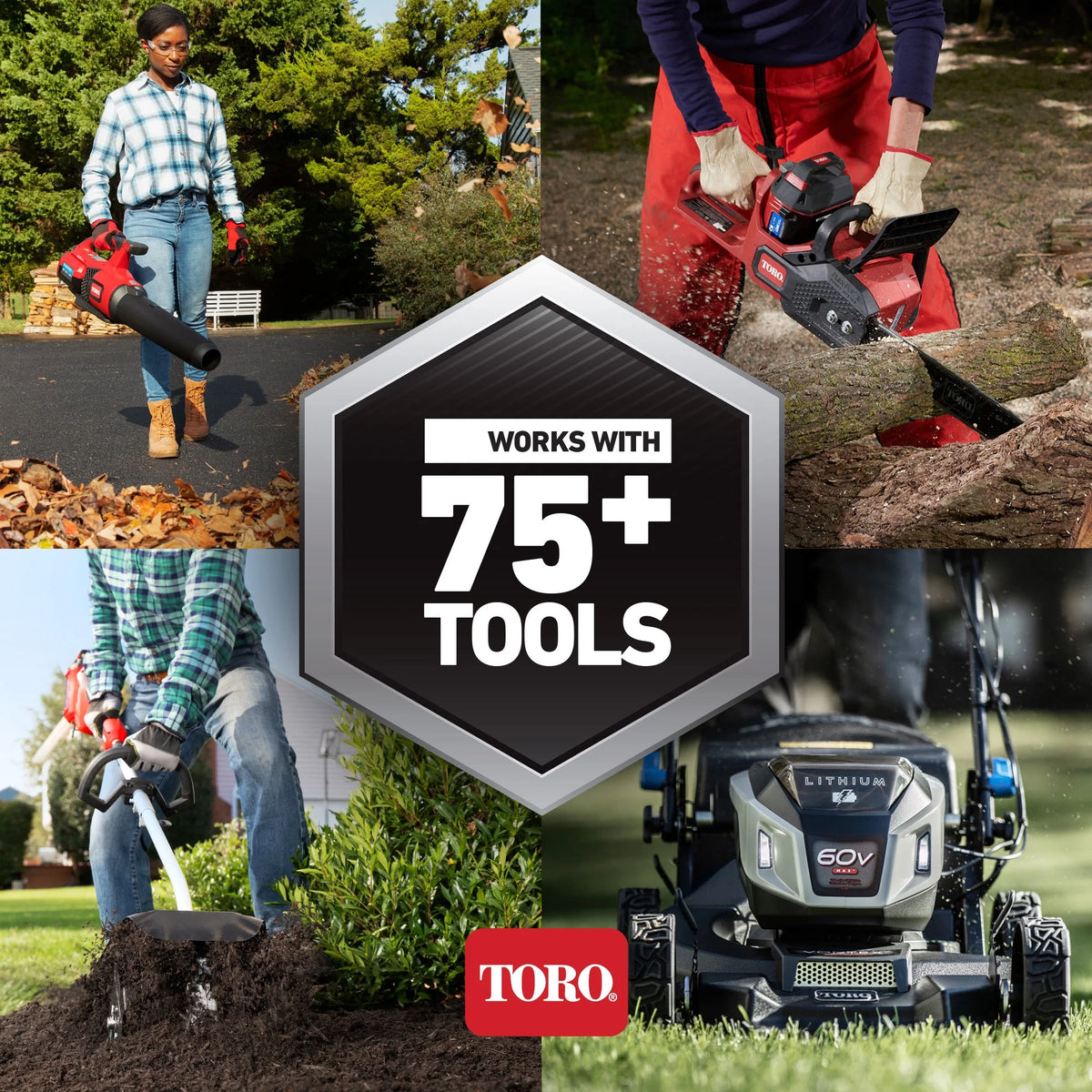 60V Max Cordless Electric Pole Saw with Battery & Charger C2073
