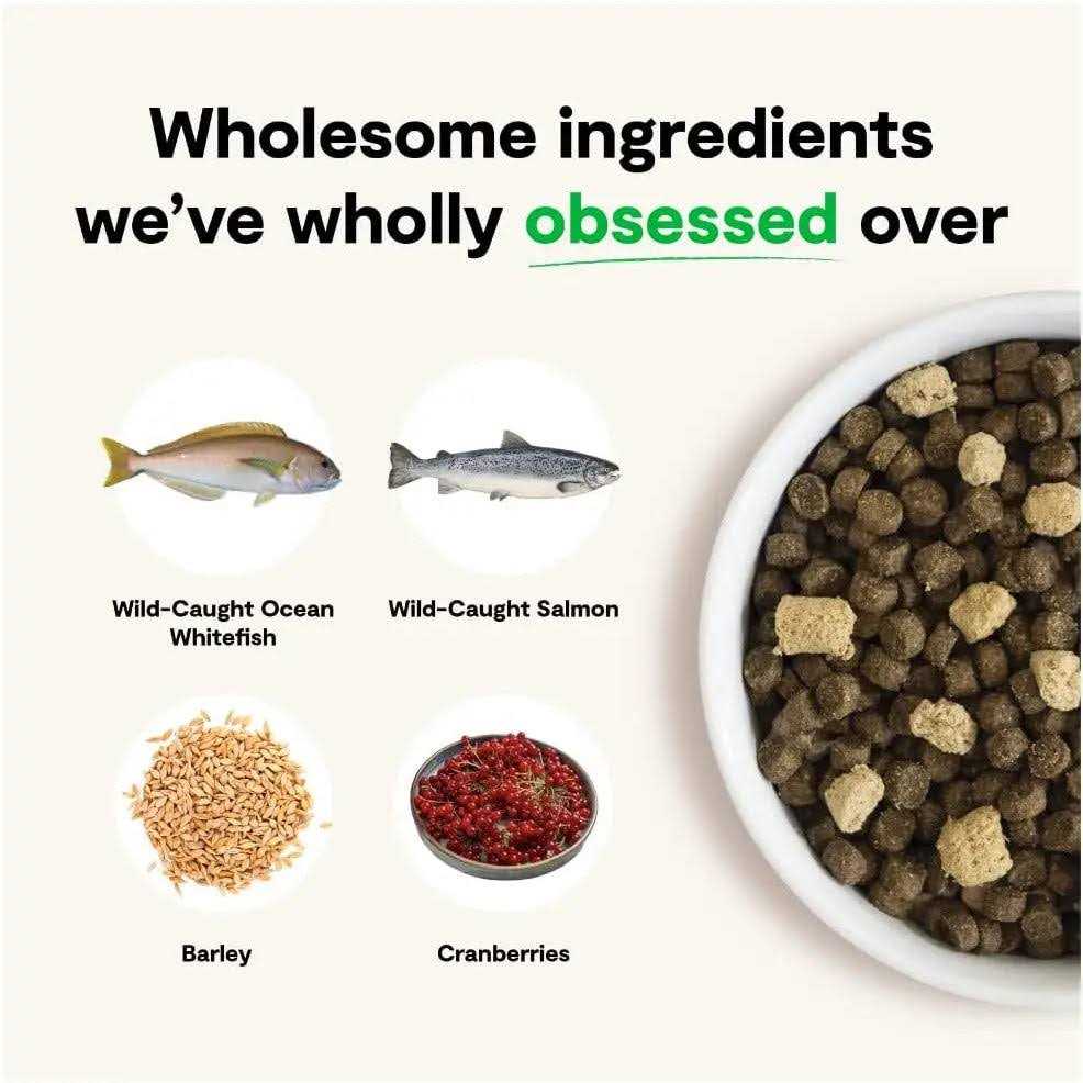 Wild Ocean Ancient Grains Dog Food N4055