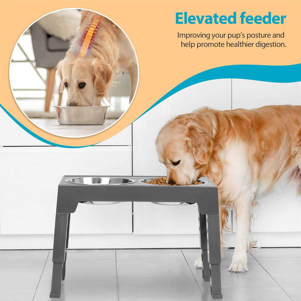 Elevated Dog Bowls with 2 Stainless Steel Bowls E6406