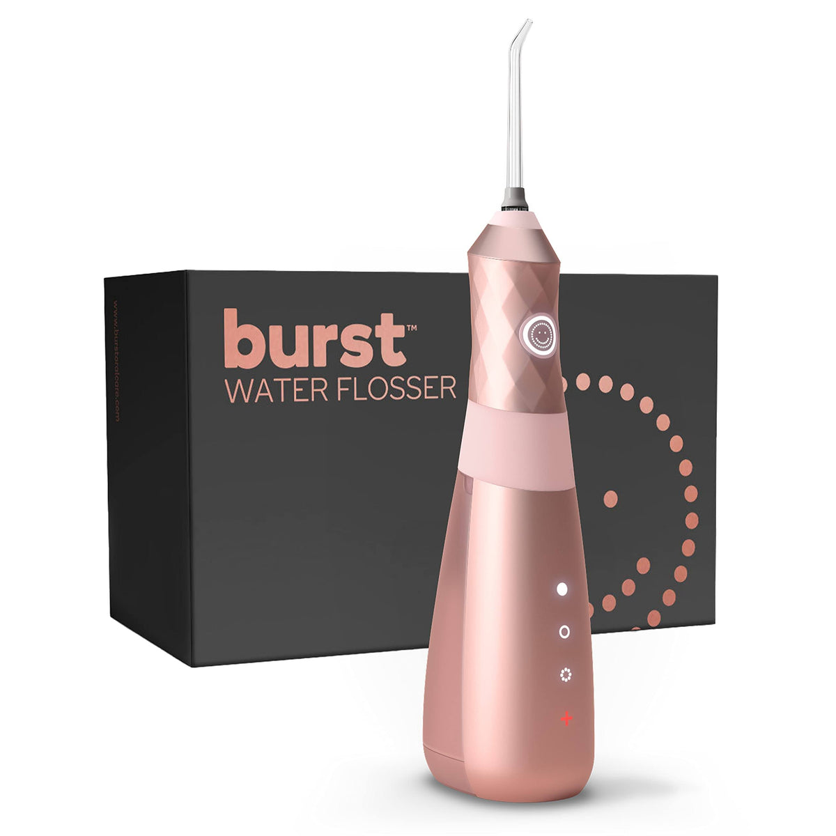 Cordless Water Resistant Water Flosser L26998
