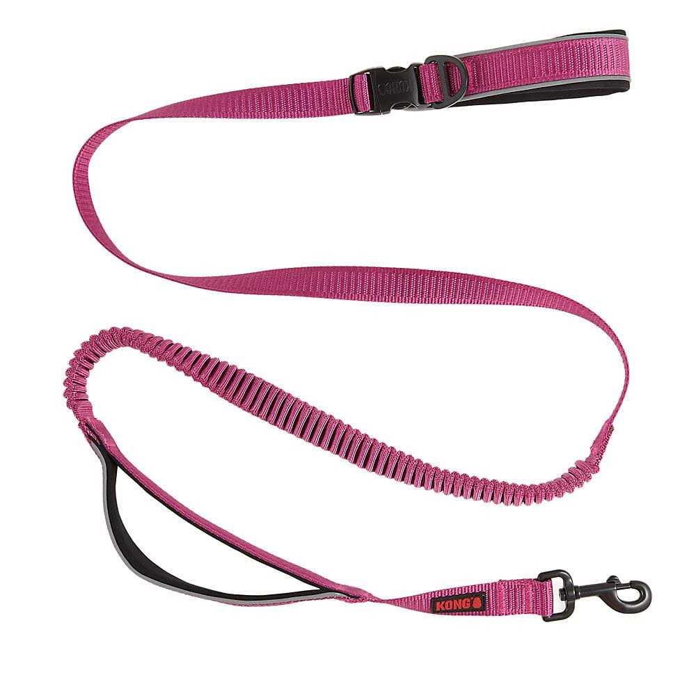 Green 6-ft Hands-Free Dog Leash Y52086