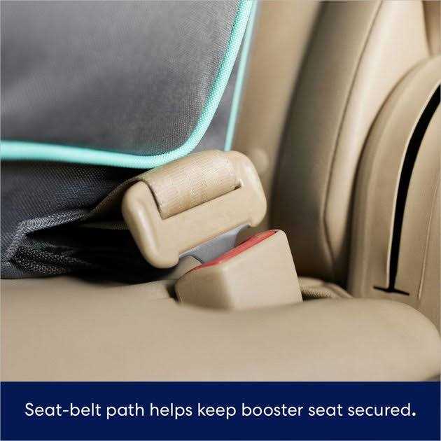 Travel Dog Booster Seat Y9927