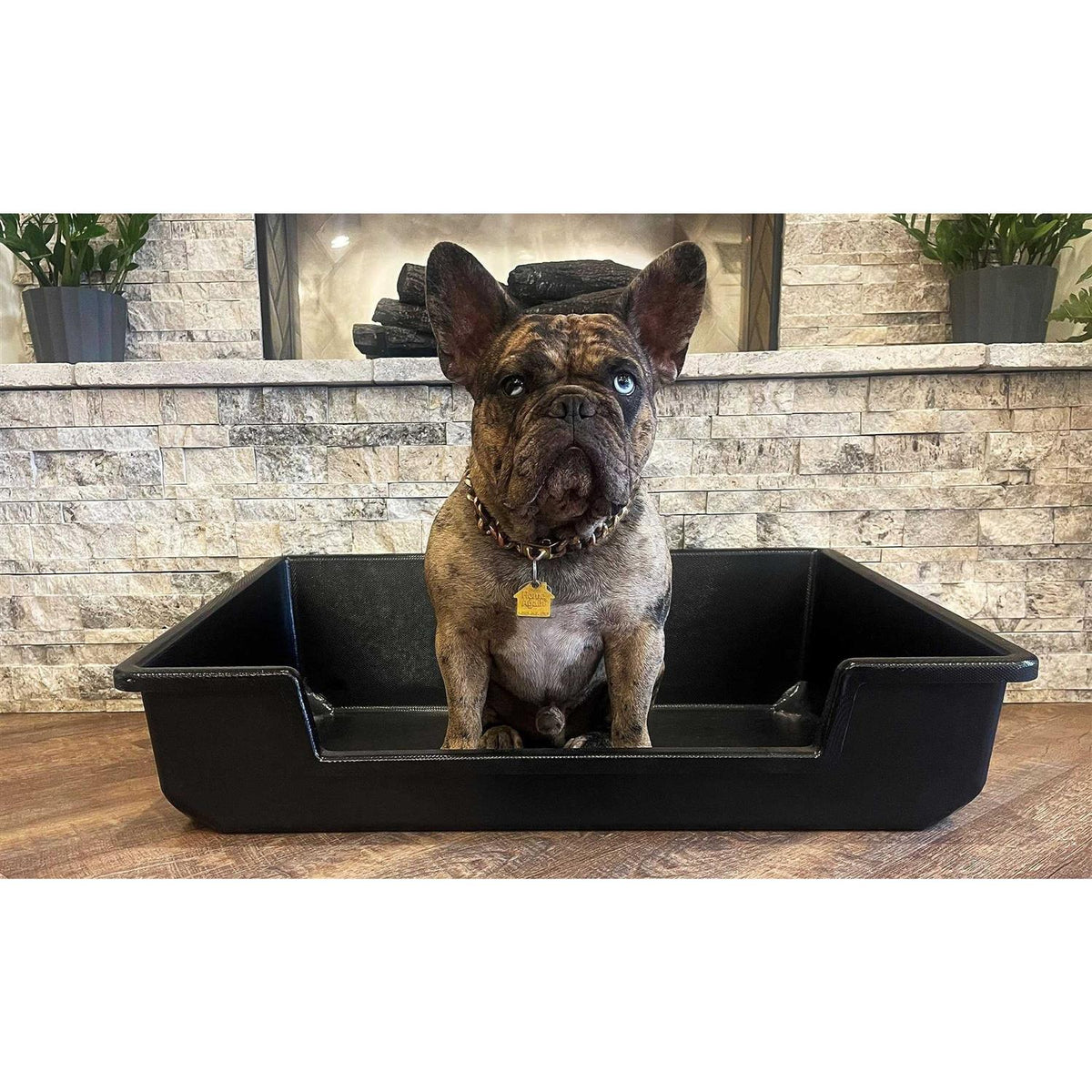 Extra Large Litter Box B975