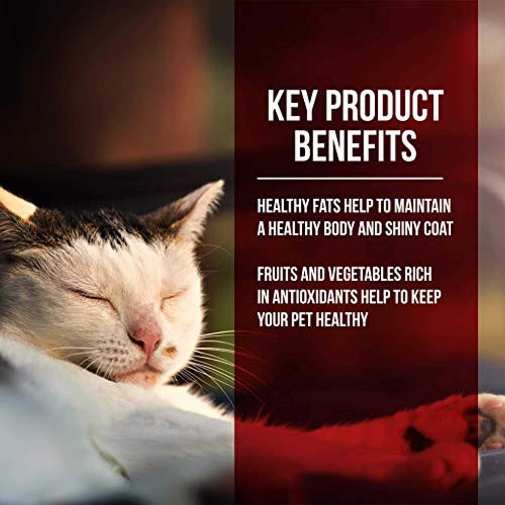 Dry Cat Food Chicken Turkey Y868