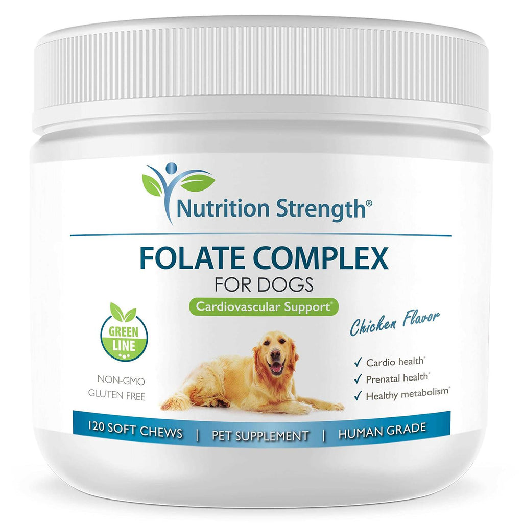 Folate for Dogs B7534