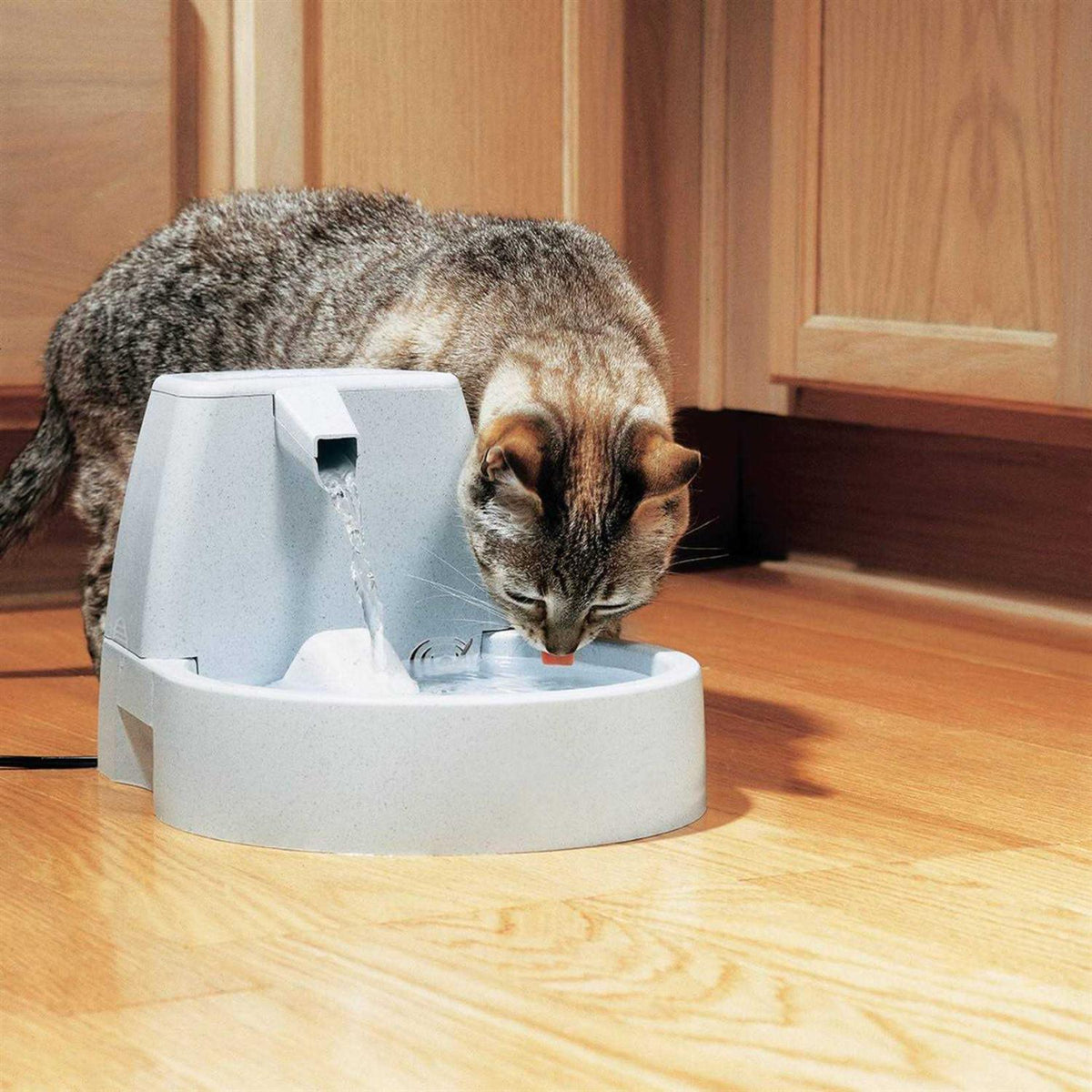 Pet Fountain R806
