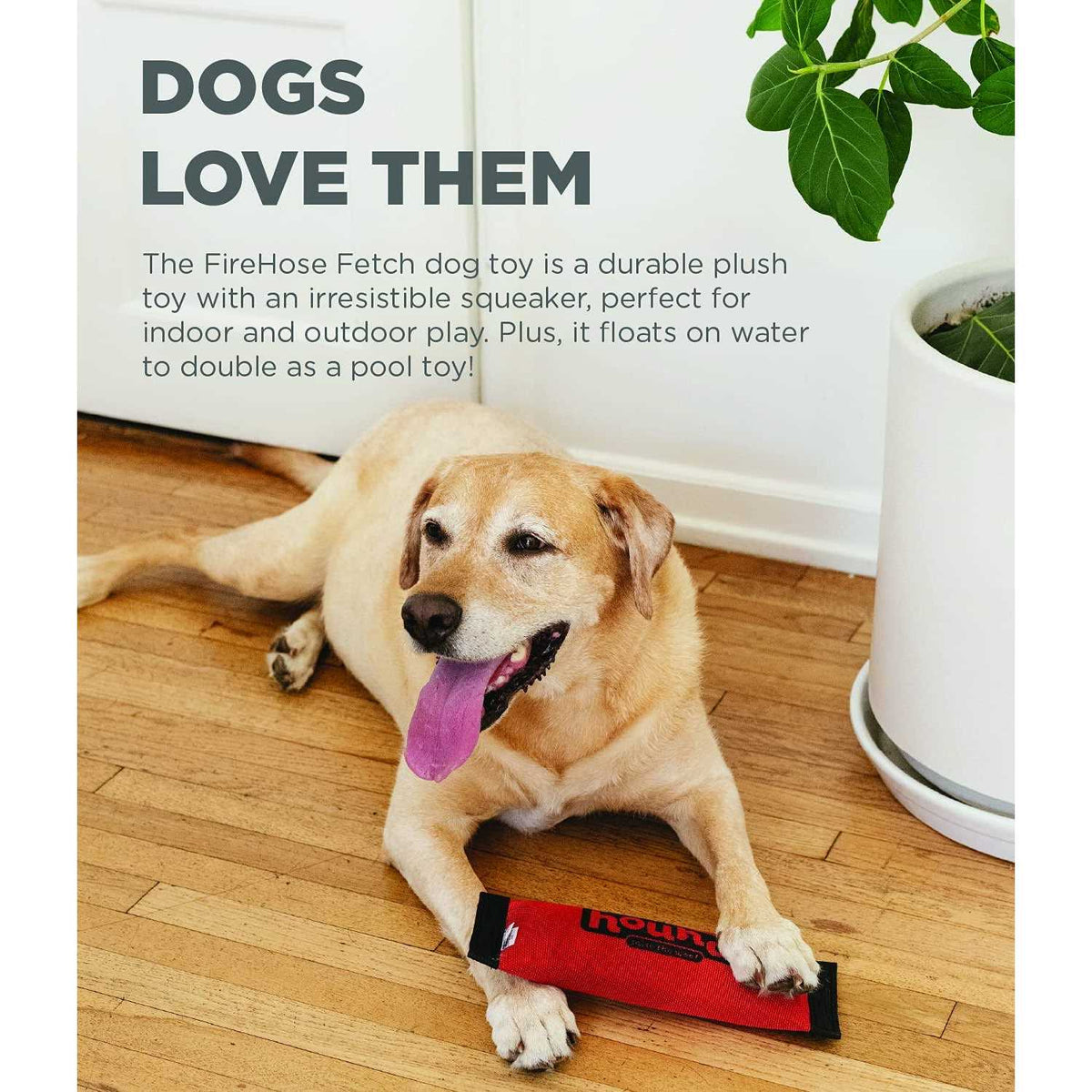 Fetch Dog Toy T4634
