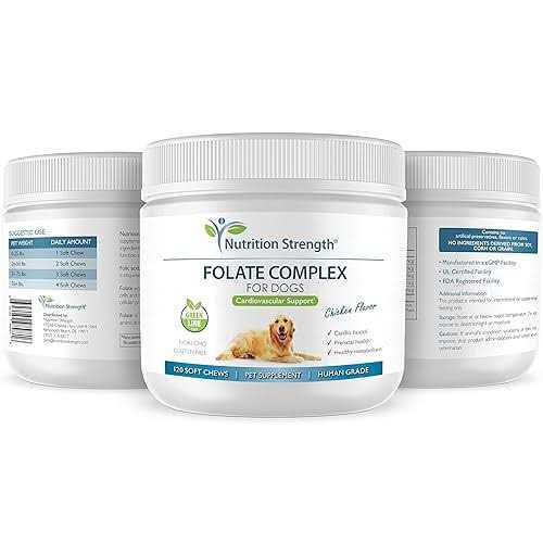 Folate for Dogs B7534