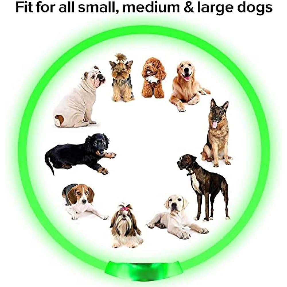 Light Rechargeable LED Dog Collar A583117