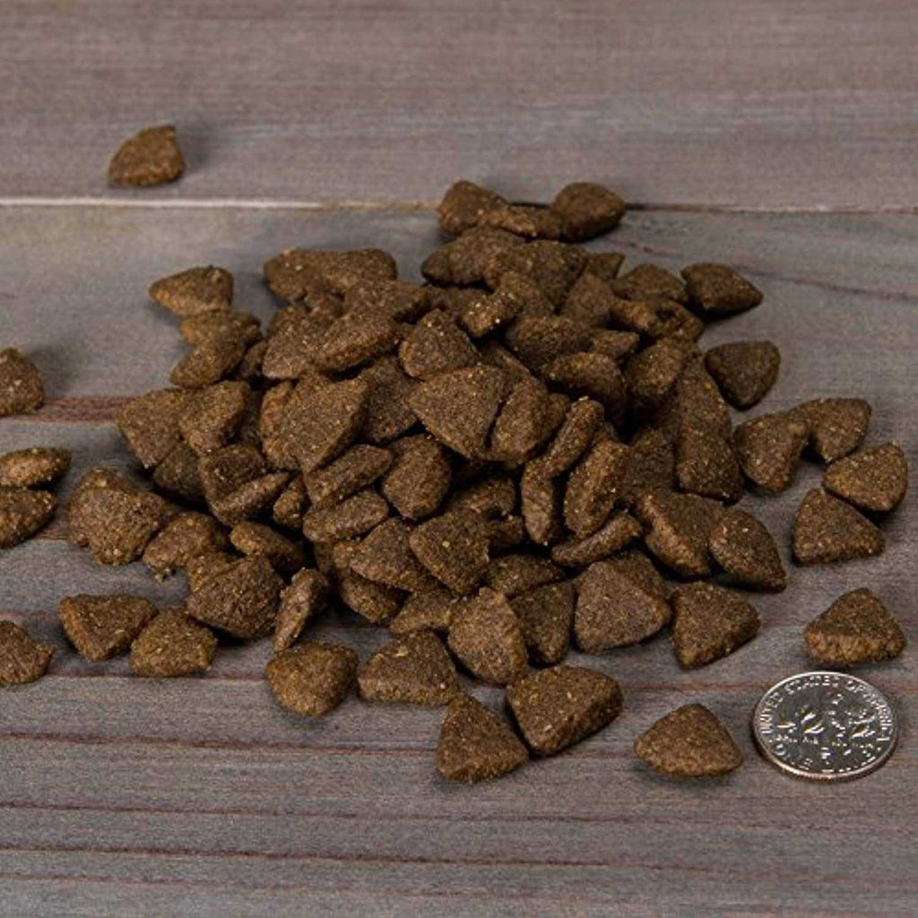 Salmon & Peas Grain-Free Dry Dog Food I999097