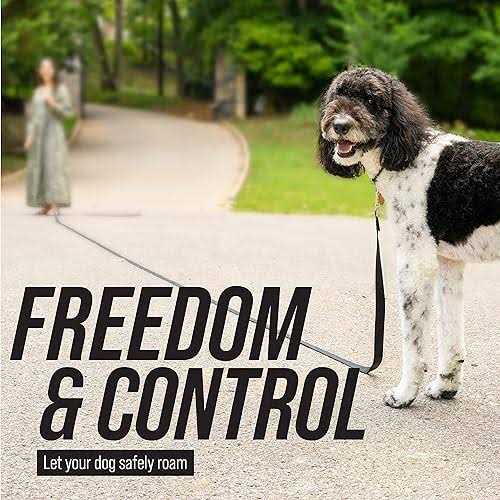 Dog Leash X989