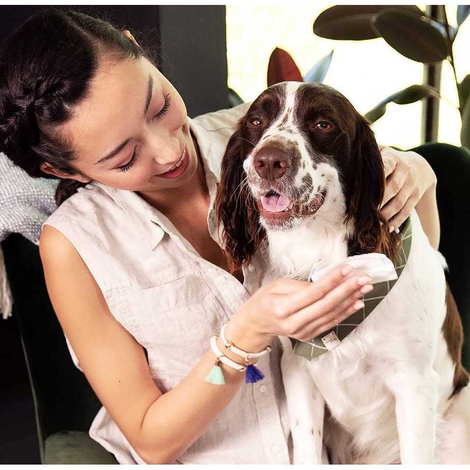 Deodorizing Bath Wipes for Dogs A841859