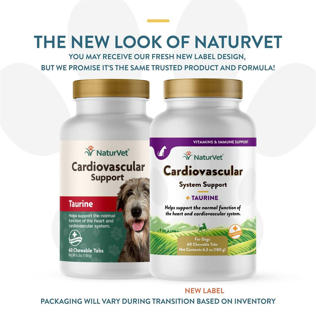Cardiovascular Support for Dogs B350947