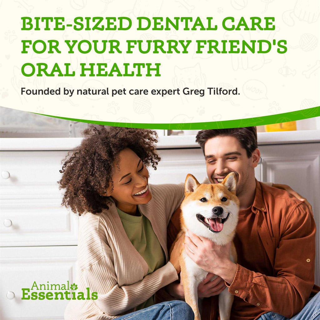 SeaDent for Dogs Q31668